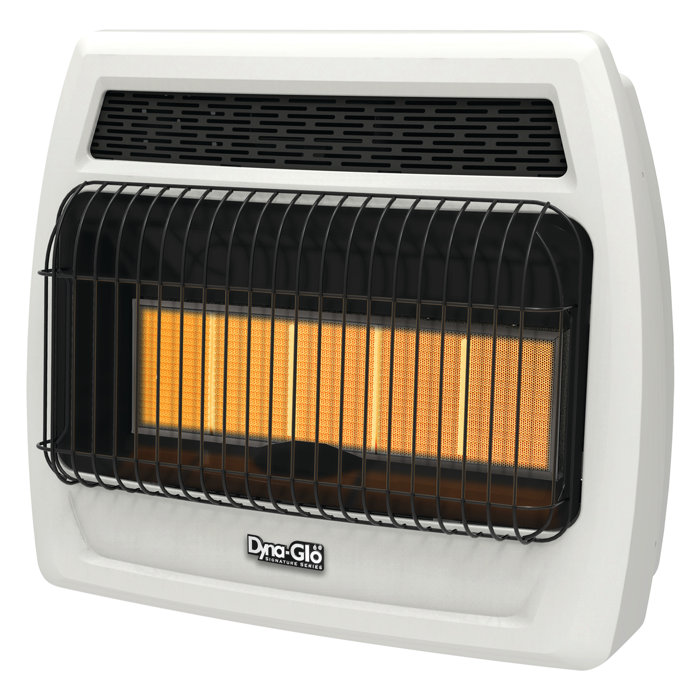 DynaGlo 30000 BTU Propane High Efficiency Wall Mounted Space Heater